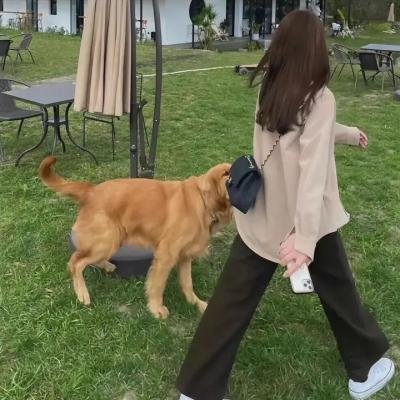 变鬼3.2