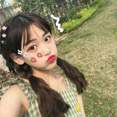 社会中坚